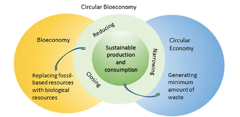 Tan, E. C. D. and Lamers, P. (2021). Circular bioeconomy concepts—a perspective. Frontiers in Sustainability, 2.