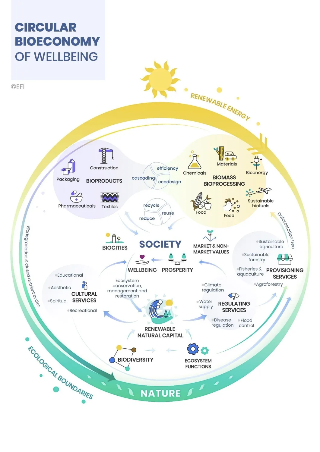 BioRevolution #3 - Circular Bioeconomy, image 2
