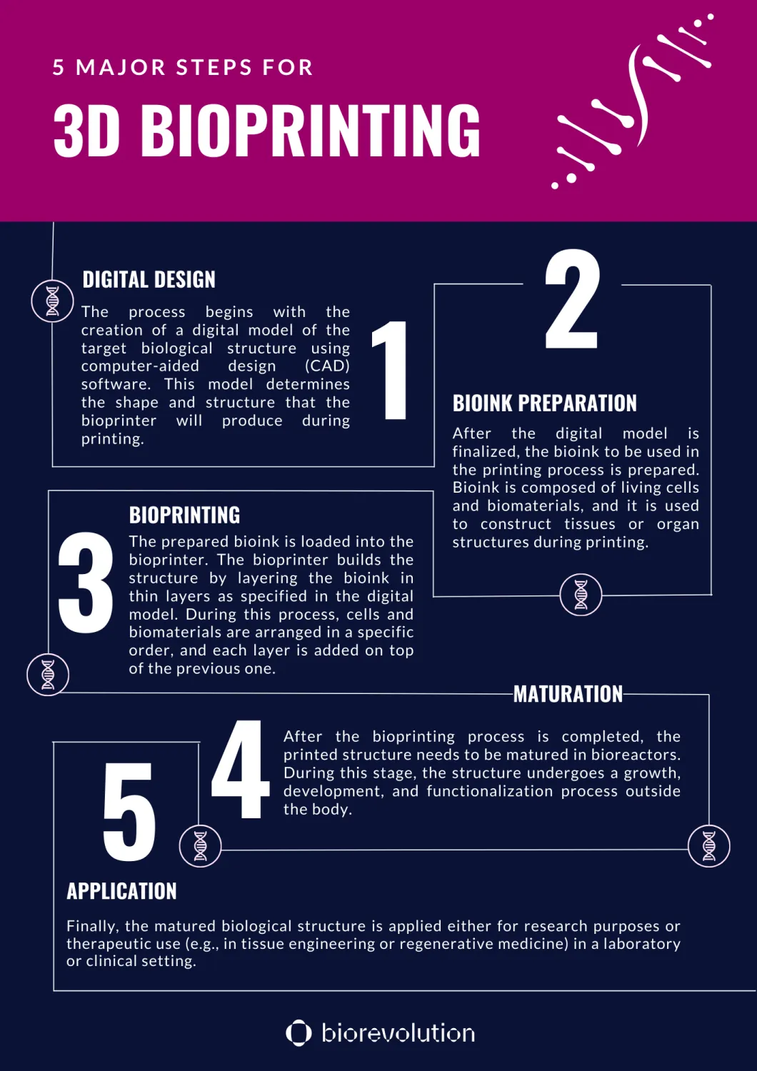 BioRevolution #11 - 3D Bioprinters, image 3