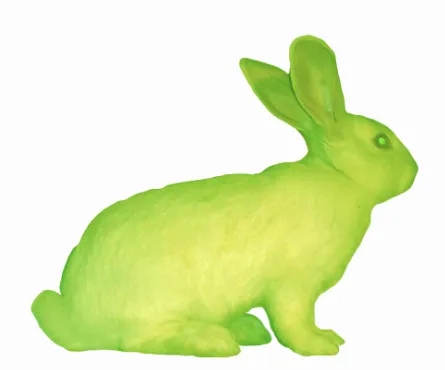 Kac’s transgenic artwork GFP Bunny (2000). It comprises the creation of a green fluorescent rabbit.