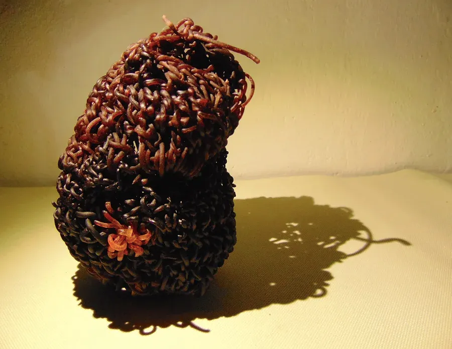 Ana’s artwork made from pieces made of menstrual blood and algae crochet: Tissues from the uterus (work in progress - 2021)